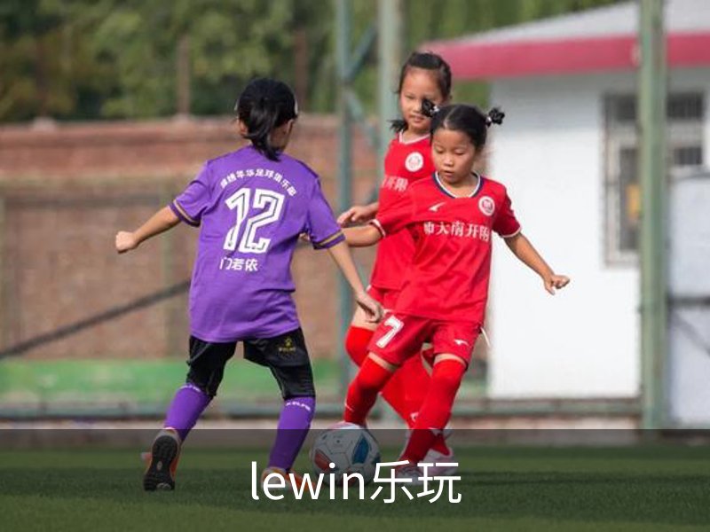 lewin乐玩品牌故事